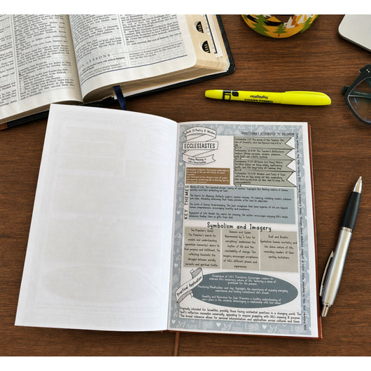 The 66 Roots Journey™ Bible Study Guide
